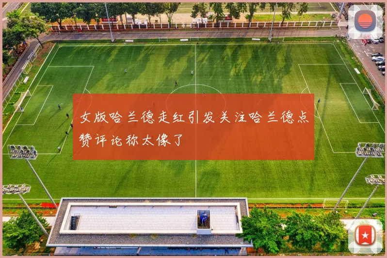 女版哈兰德走红引发关注哈兰德点赞评论称太像了