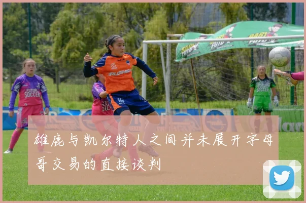雄鹿与凯尔特人之间并未展开字母哥交易的直接谈判