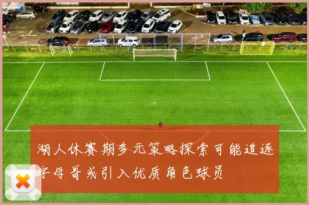 湖人休赛期多元策略探索可能追逐字母哥或引入优质角色球员